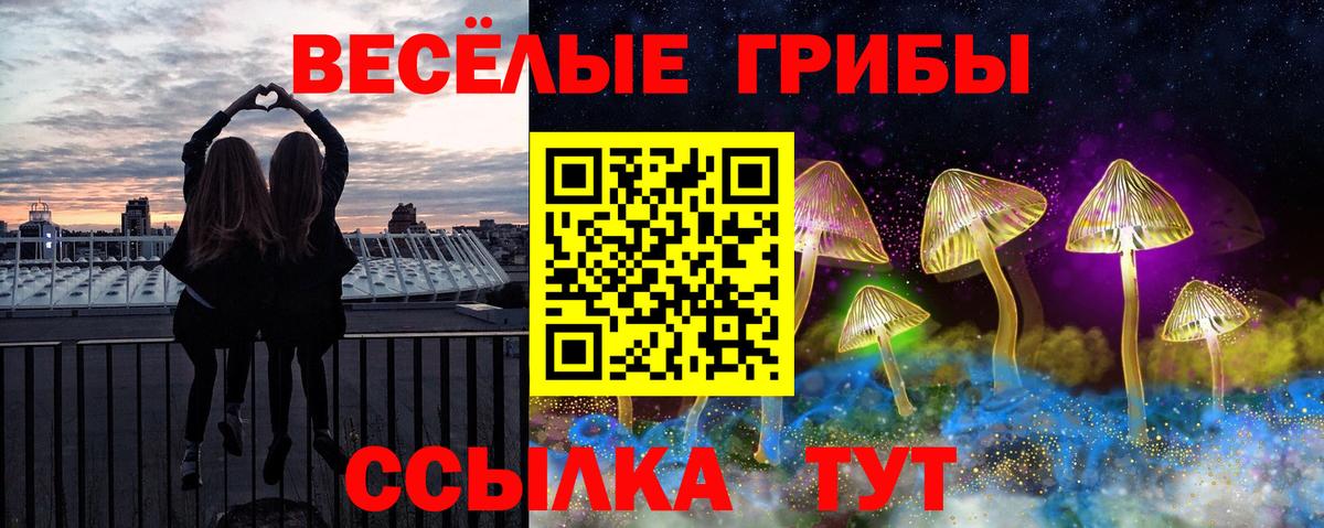 Псилоцибиновые грибы прущие грибы  Псилоцибиновые грибы Magic Shrooms  цена наркотик  Дубна  Вход с VPN 